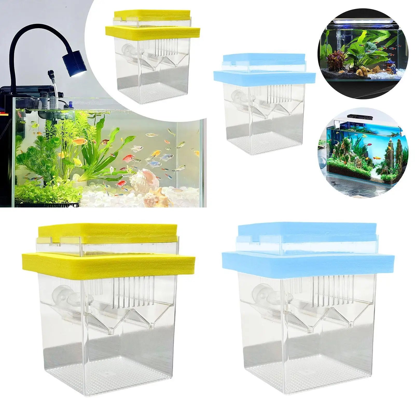 Floating Fish Breeding Box Nursery Tank Hatchery Incubation Small Zpaxo