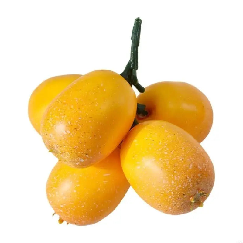 Simulation Loquat Fruit Model Adds Natural Touching Home Kitchen