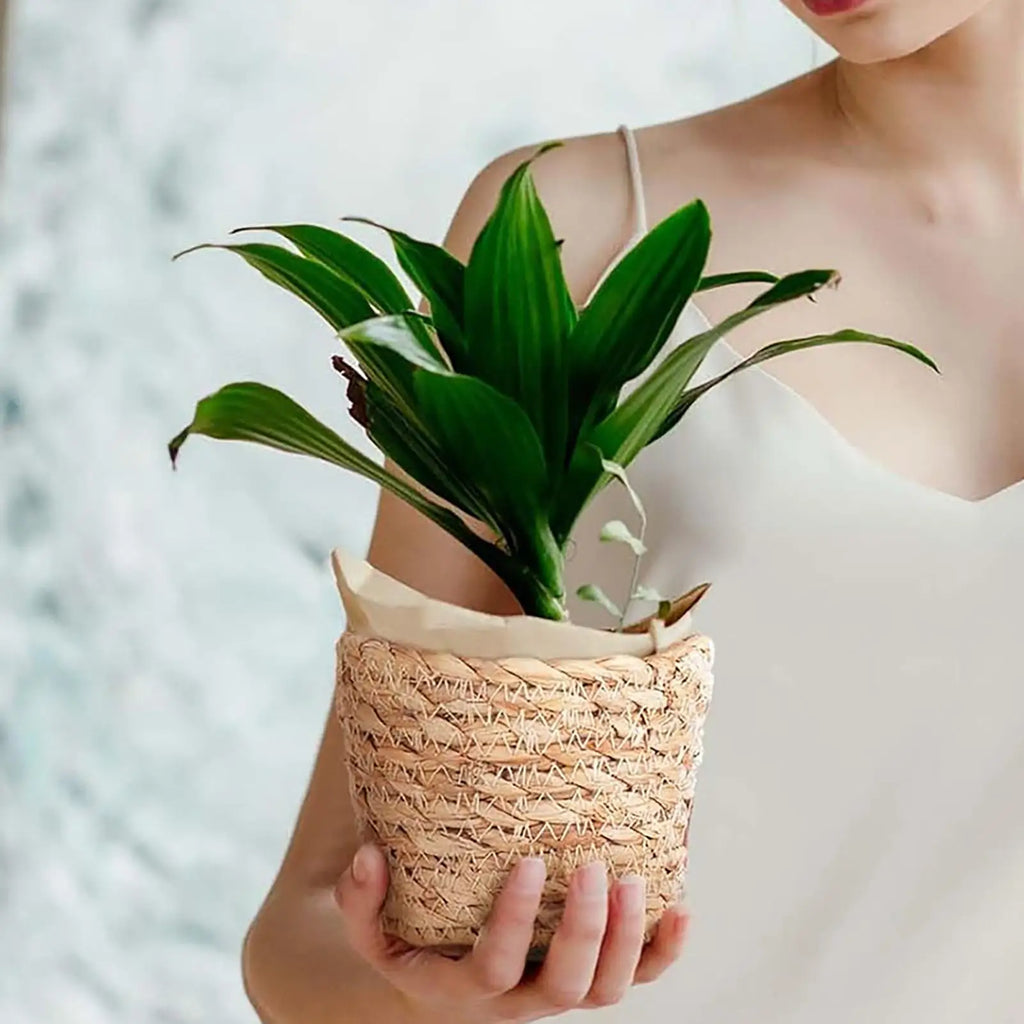 Basket Planter 3 Pieces Leak-Proof with Waterproof Lining Outdoor Basket Planter for Patio Porch Front Porch Outdoor Display Zpaxo