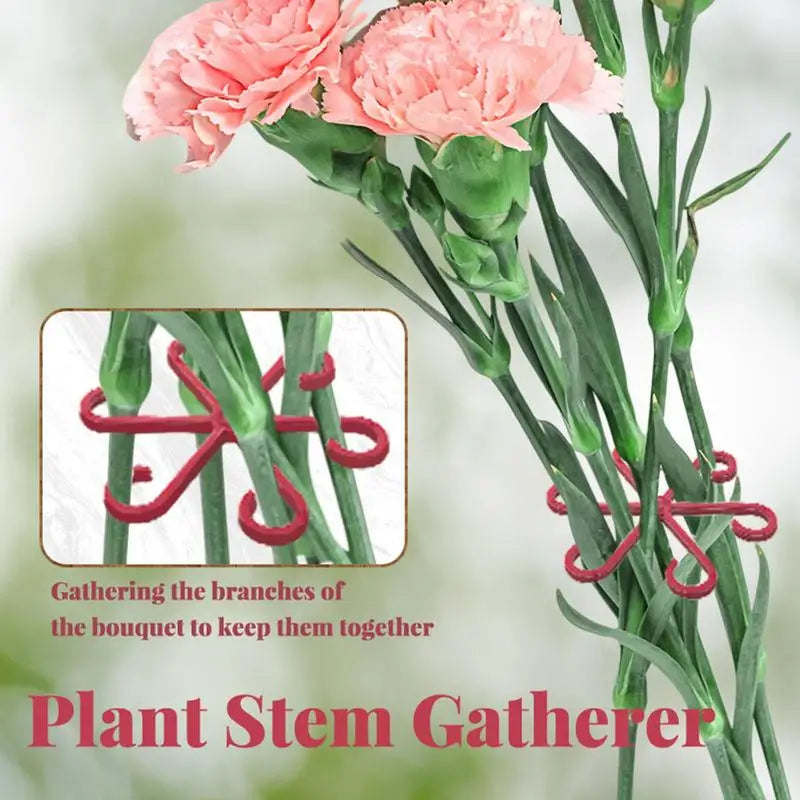 Plant Support Alocasia Monstera Leaf Garden Fixing Clis Vine Stem