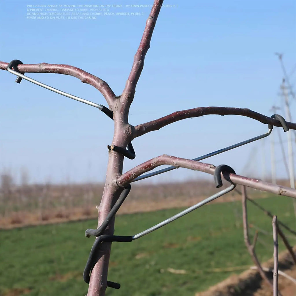 Branch Spreaders Fruit Trees 10X Tree Bender Protective Sleeve Zpaxo
