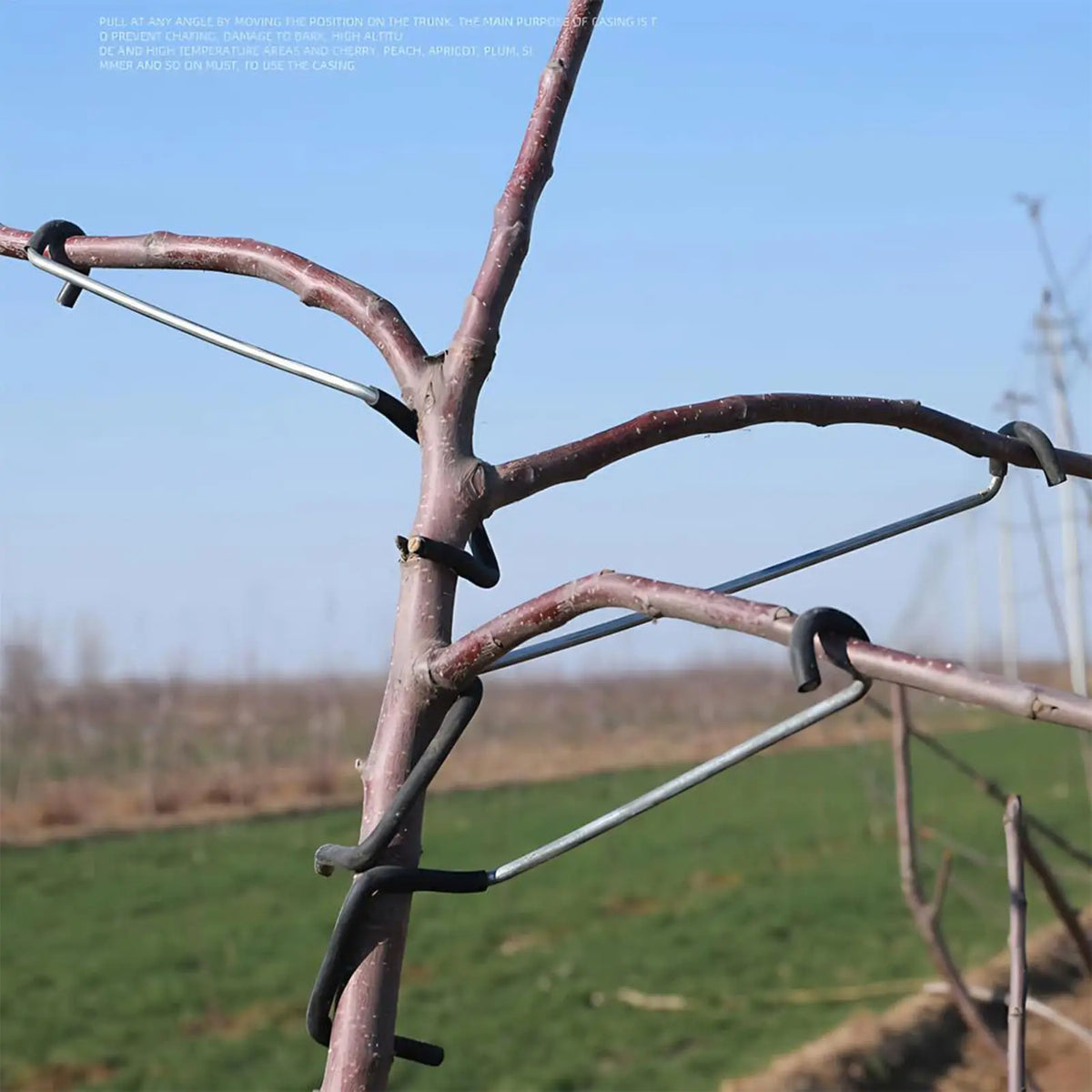 Branch Spreaders Fruit Trees 10X Tree Bender Protective Sleeve Zpaxo