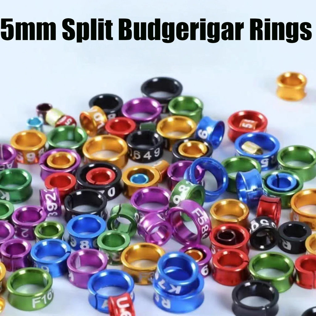 Split Budgerigar Rings Aluminum Bird Leg Bands Non-custom
