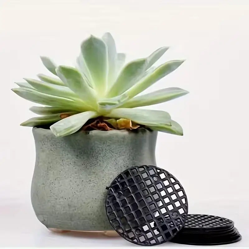 50pcs 1.77" Plant Pot Liners – Leak & Insect Proof, Mesh Drainage for Succulents, Bonsai, Gardens Zpaxo
