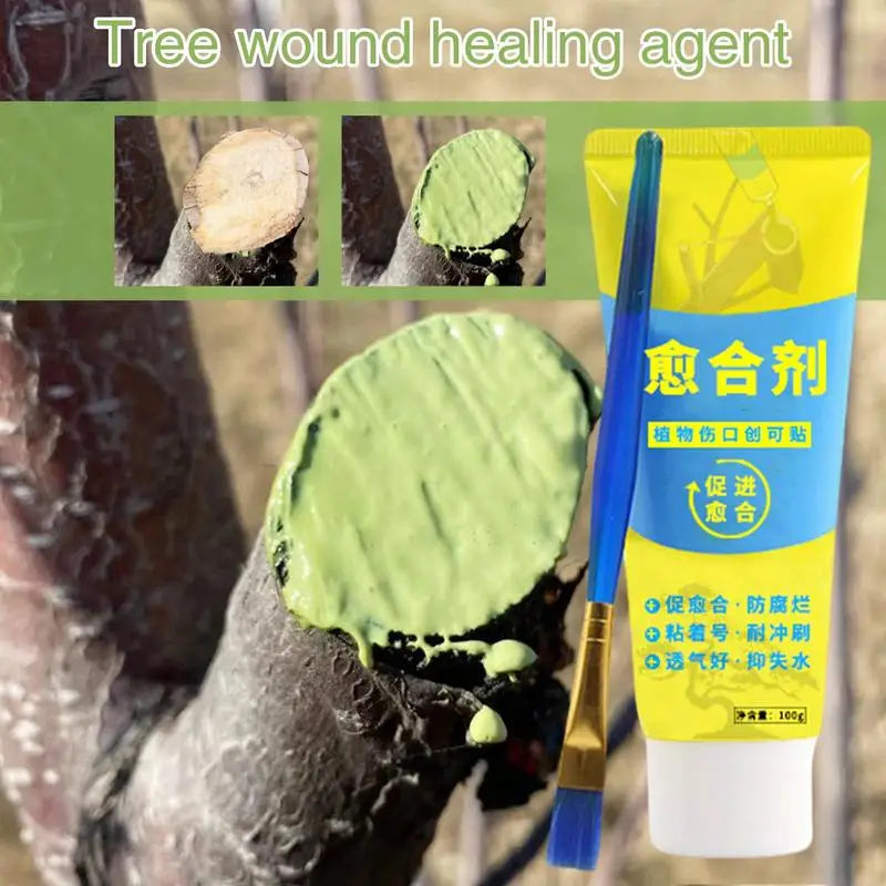 Tree Wound Bonsai Cut Paste Plant Restoring Regrowth Sealant Smear