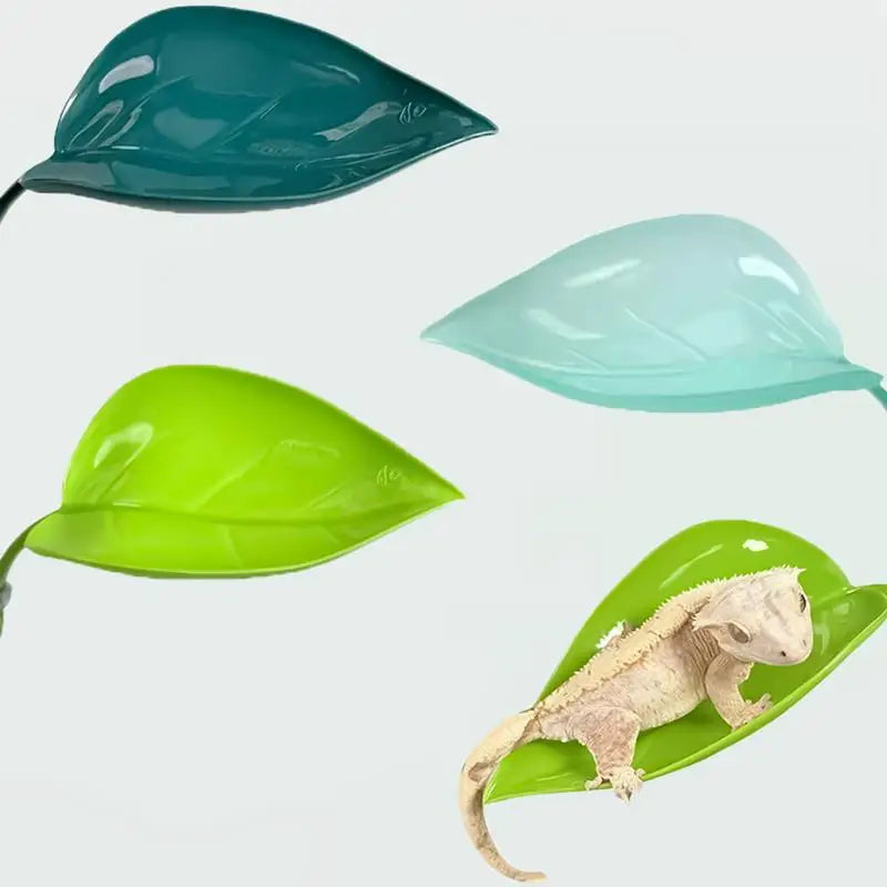 Geckos Frog Habitat Leaf Suction Cup Reptile Basking Area Resting