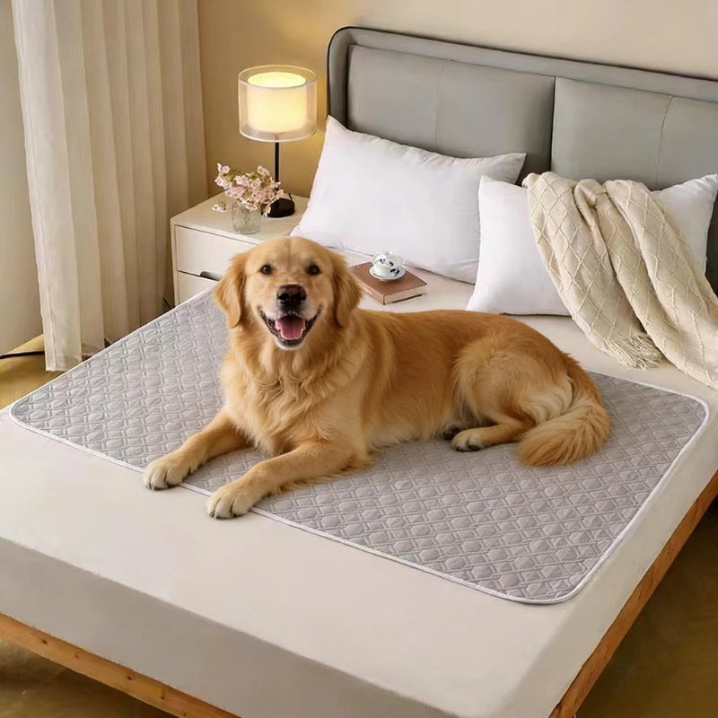 2PCS Washable Incontinence Pads for Elderly & Pets - Leak-Proof Bed Care Mats, Ideal for Menstruation & Home Use, Multiple Sizes Zpaxo