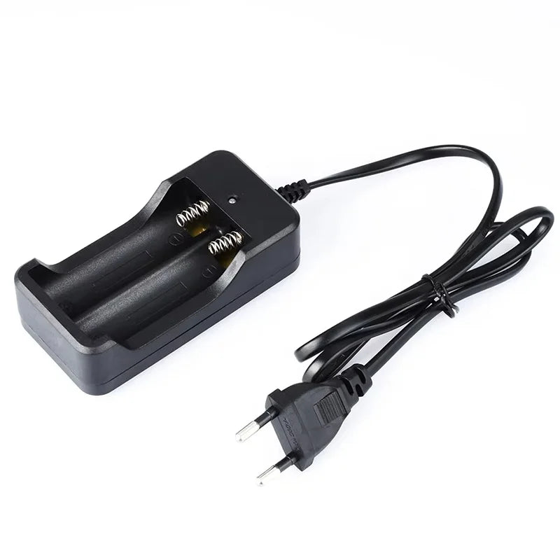 18650 Battery Charger EU Plug Dual Slots Smart Charging Fast 14500 Zpaxo