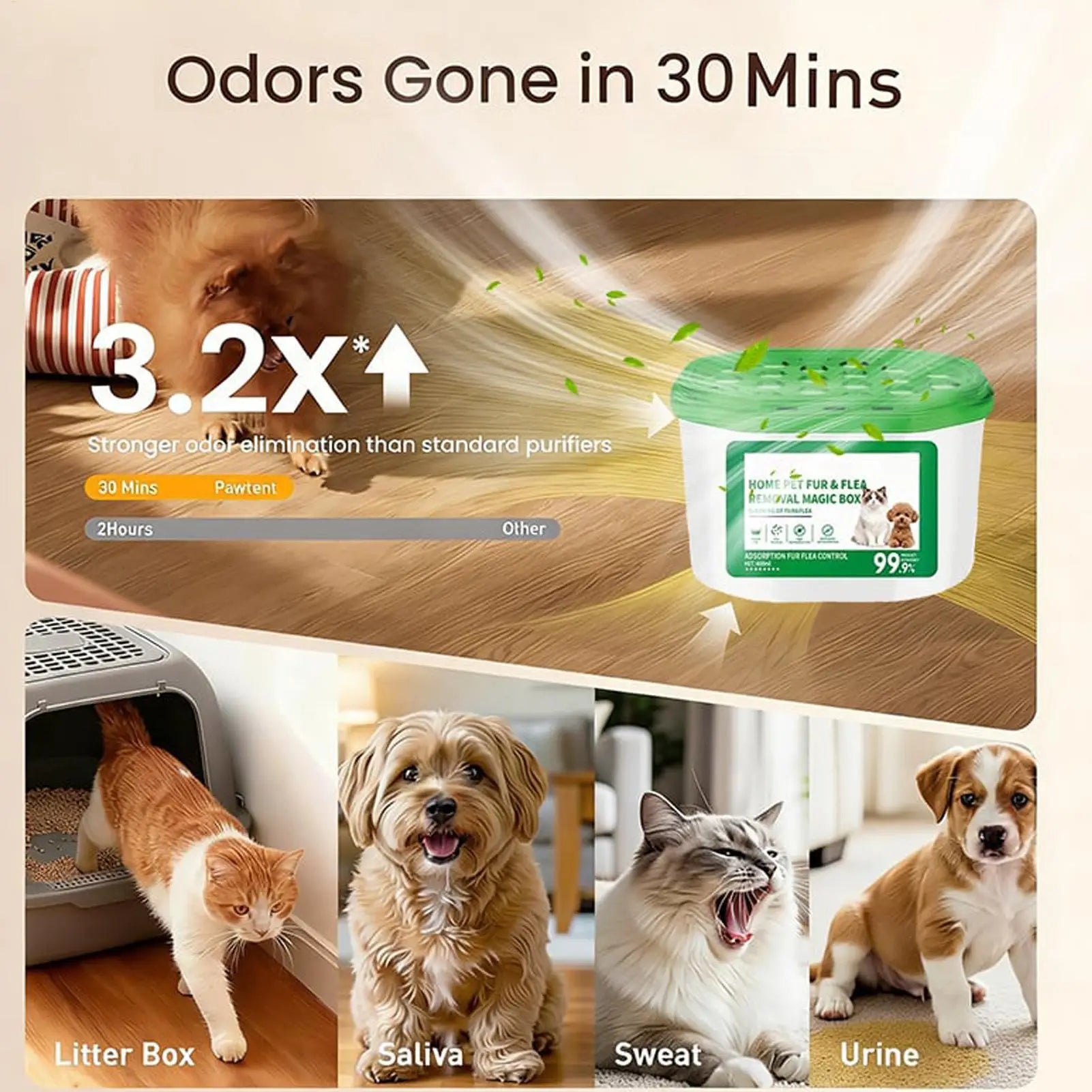 Pet Odor Eliminator Indoor Dust Collector Box Air Freshener