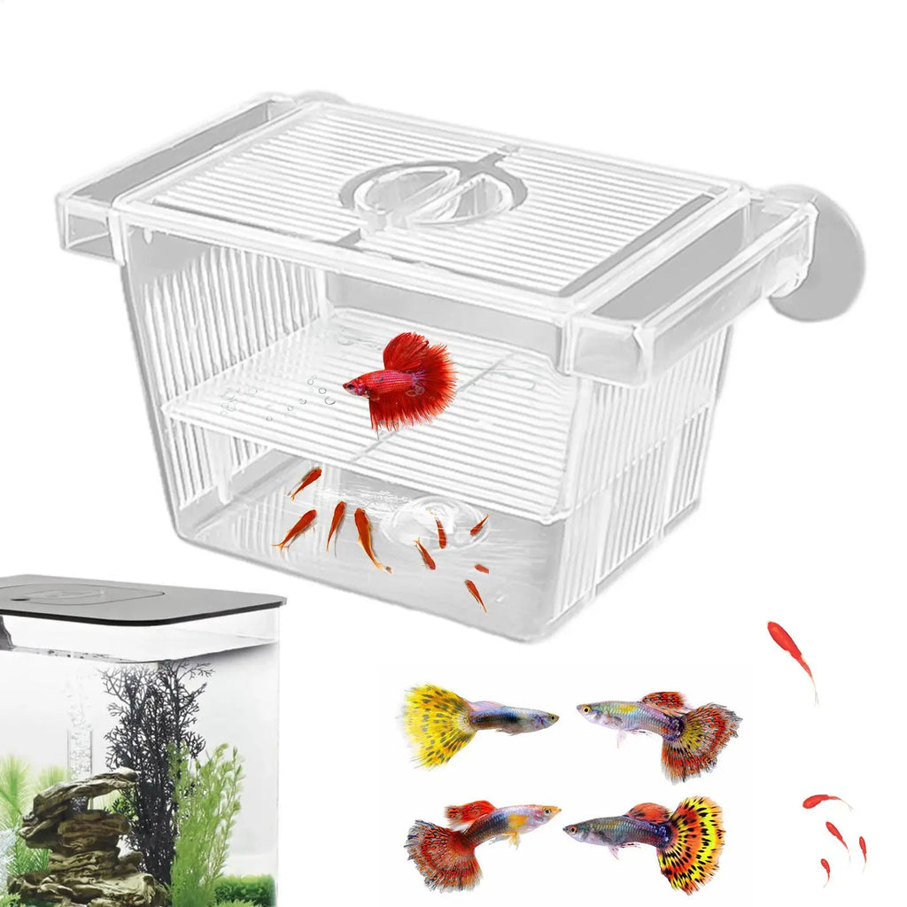 Aquarium Fish Breeder Box Clear Betta Fish Tank Fish Breeding Isolation Box Hatching Incubator Box For Baby Fish Shrimp Trap Box Zpaxo