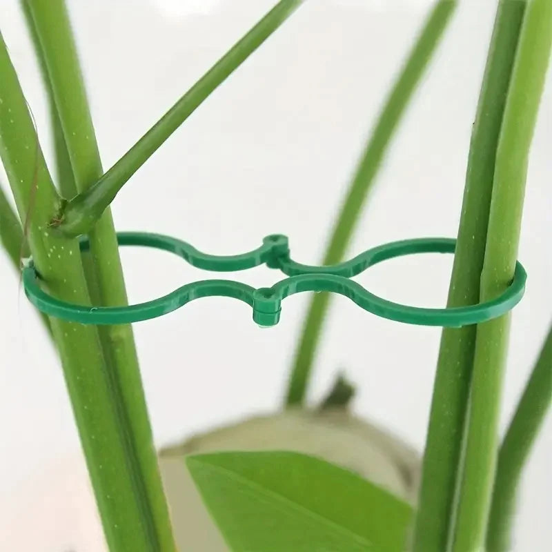 Gardening 8-figure clip garden green plant tomato vine binding plastic clip garden plant 8-figure buckle fastening buckle Zpaxo