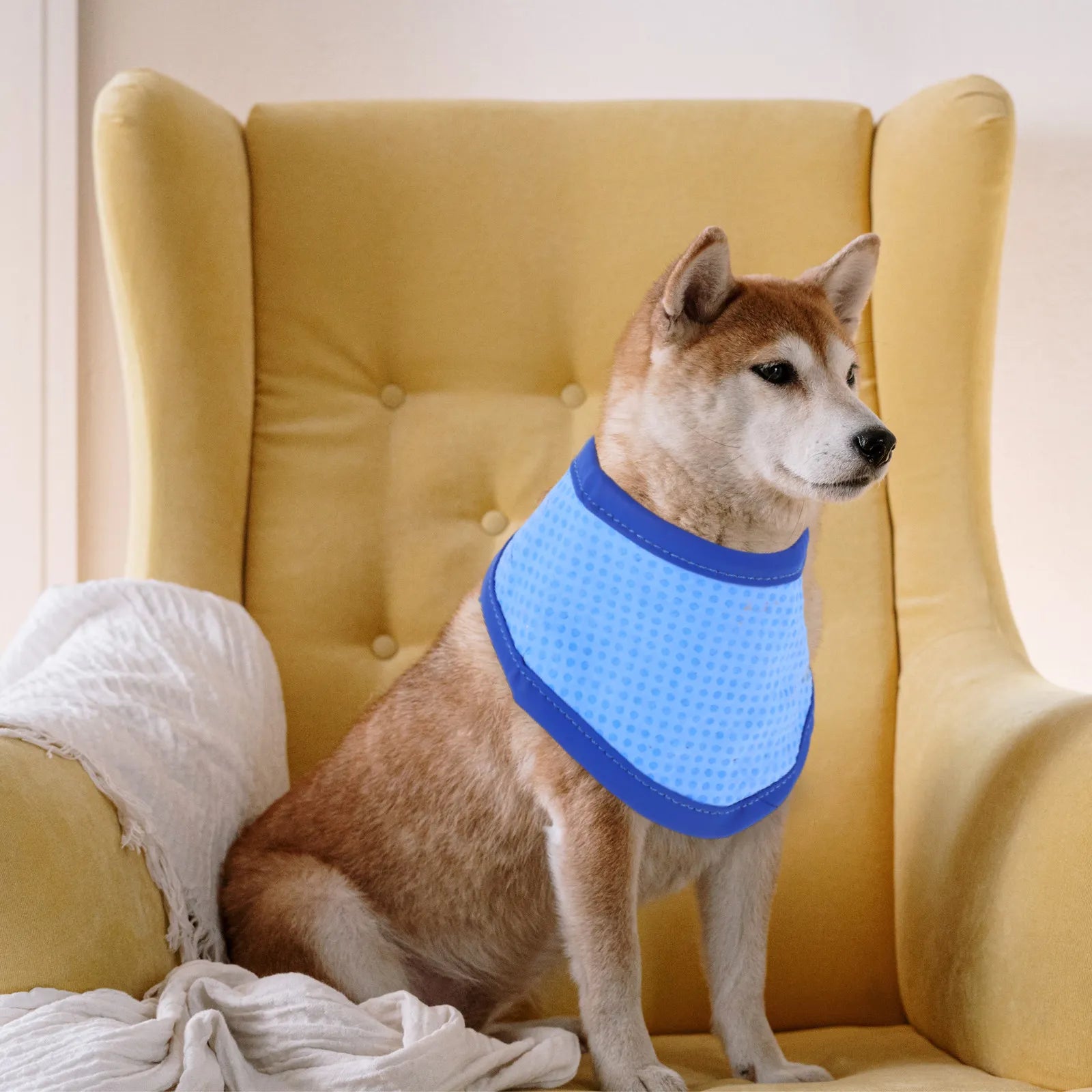 Dog Neckerchief Cooling Pet Collar Summer Breathable Comfortable