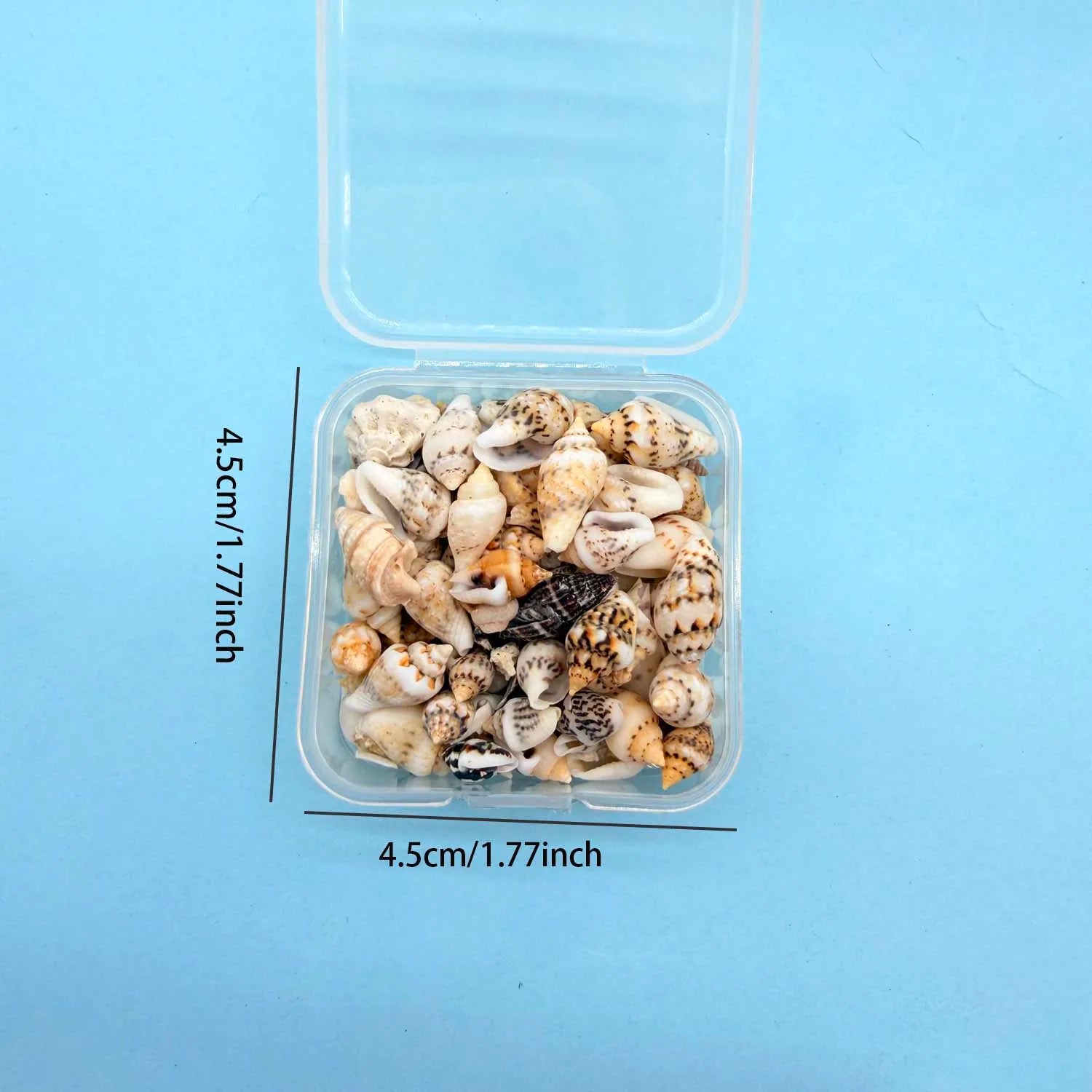 1BOX Mini Seashell Shell Pearls for Jewelry Candle Making Decoration Mini DIY Drift Bottle,Beach Wedding Home Decorations Zpaxo E