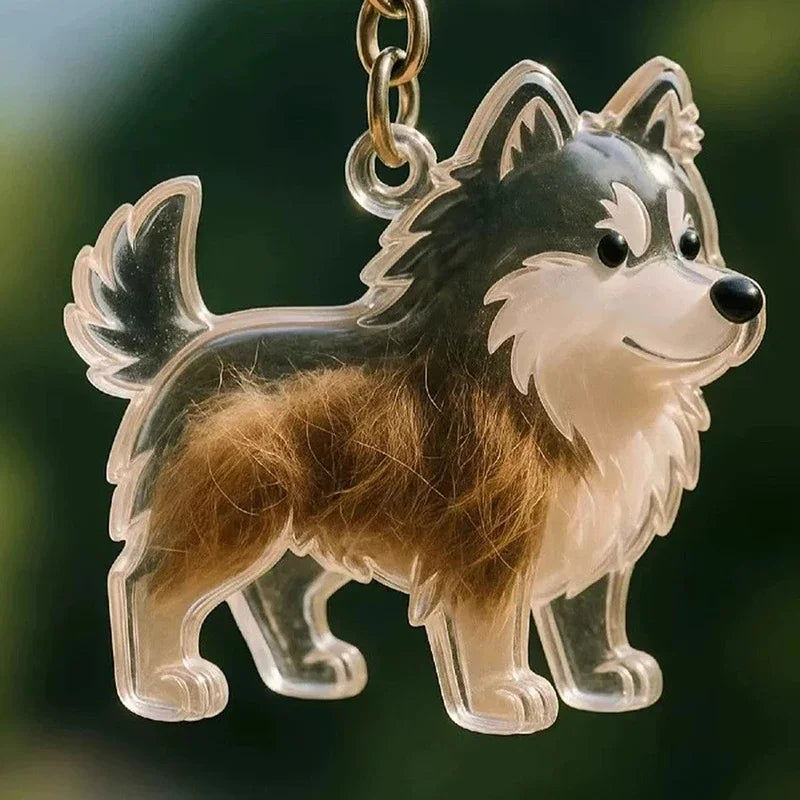 Transparent Cat Dog Hair Storage Box Pendant Keychain Collect Pets Hair Commemorate Bag Pendant Save Cat Hair Storage Capsule Zpaxo