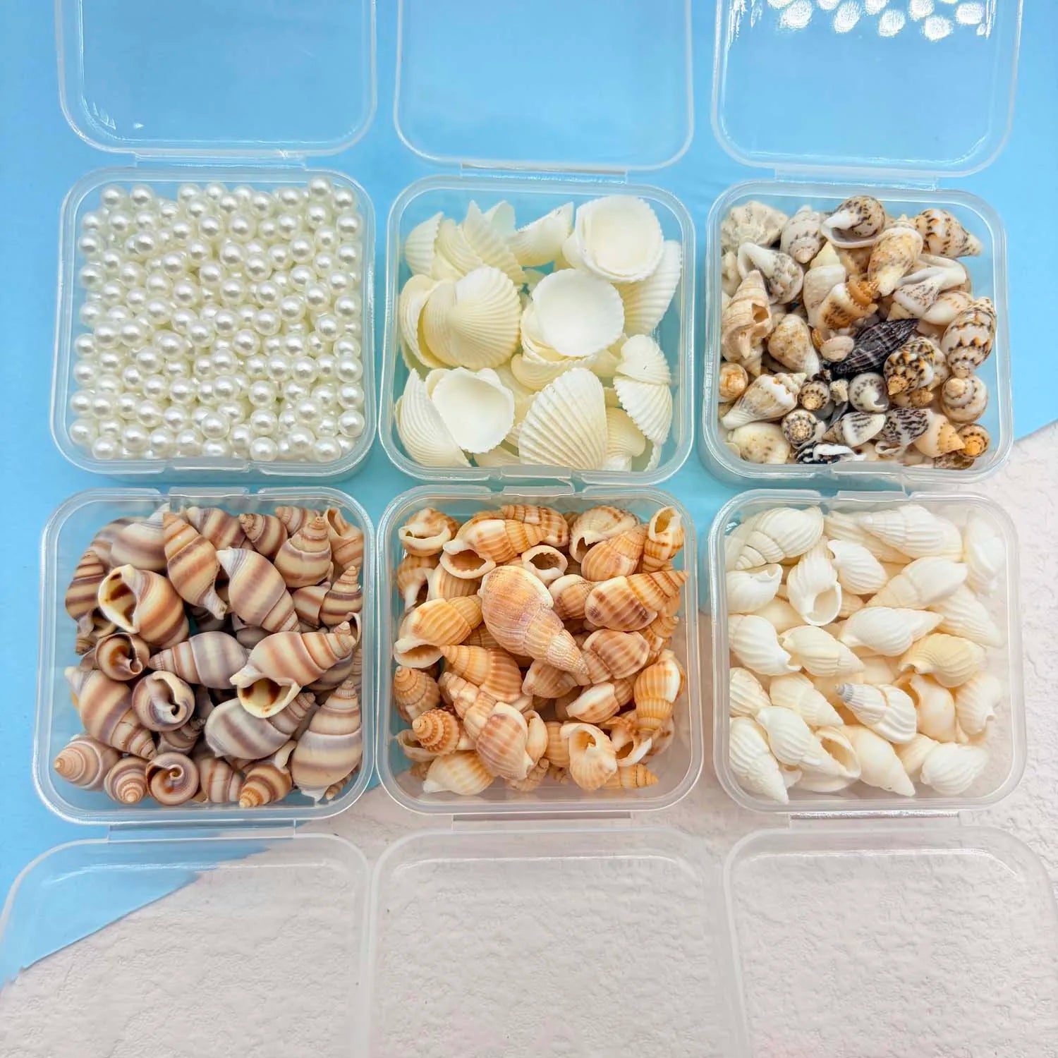 1BOX Mini Seashell Shell Pearls for Jewelry Candle Making Decoration Mini DIY Drift Bottle,Beach Wedding Home Decorations Zpaxo