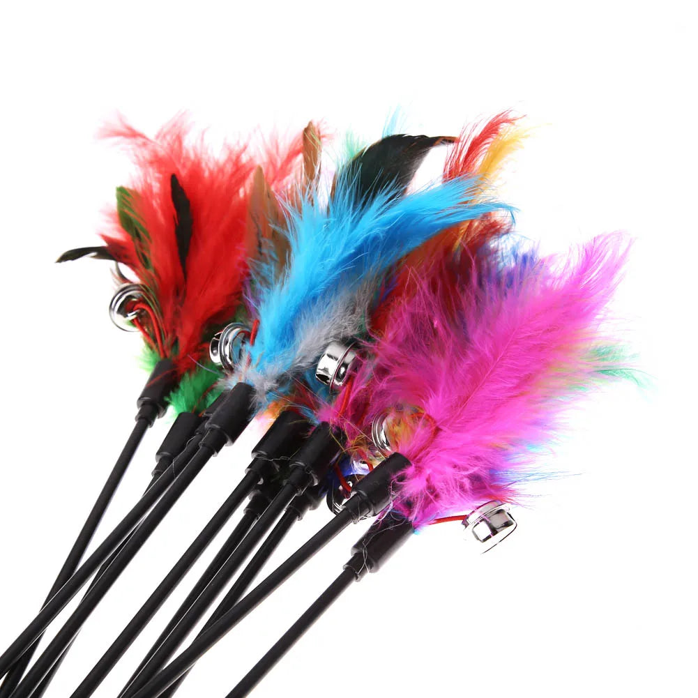 5pcs/set Interactive Funny Cat Stick Colorful Feather Cat Game Wand Exquisite Portable Creative Fashion Novelty Pet Cat Supplies Zpaxo
