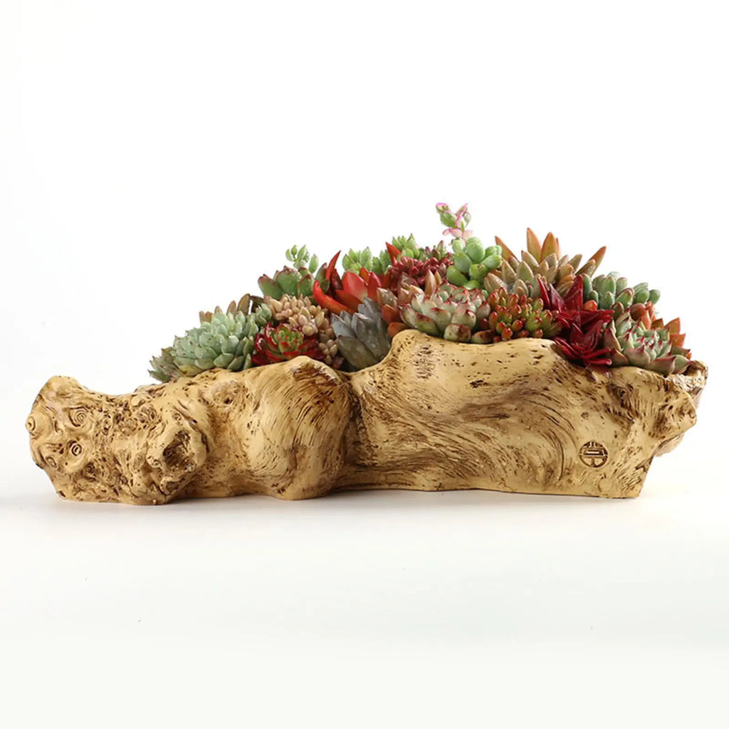 Decorative Resin Flower Pots Succulent Planters Drainage Retro Tree Zpaxo