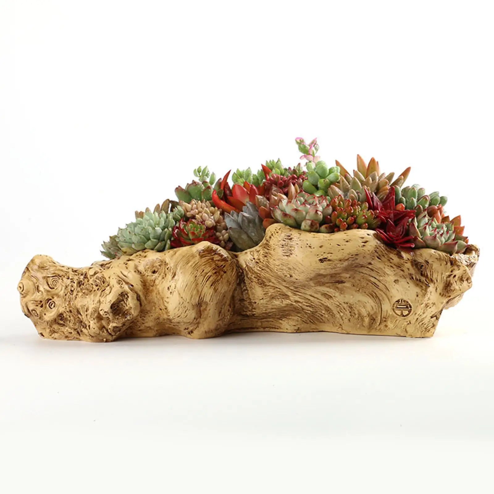 Decorative Resin Flower Pots Succulent Planters Drainage Retro Tree Zpaxo