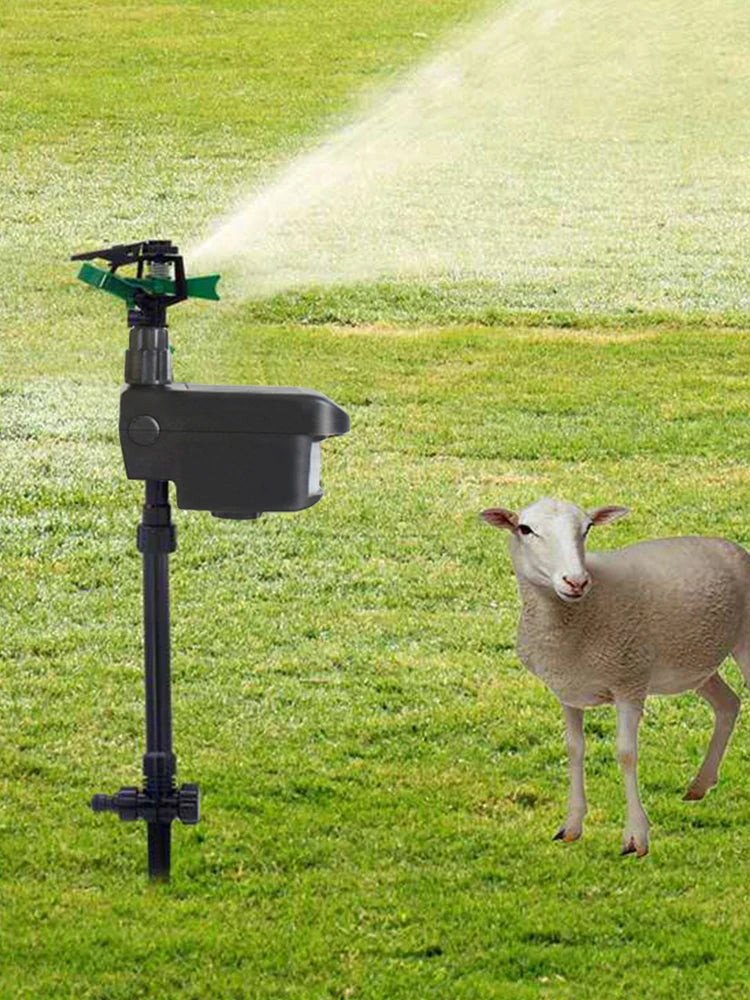 Motion Activated Sprinkler Scaring Away Wild Animals Animal Sensor