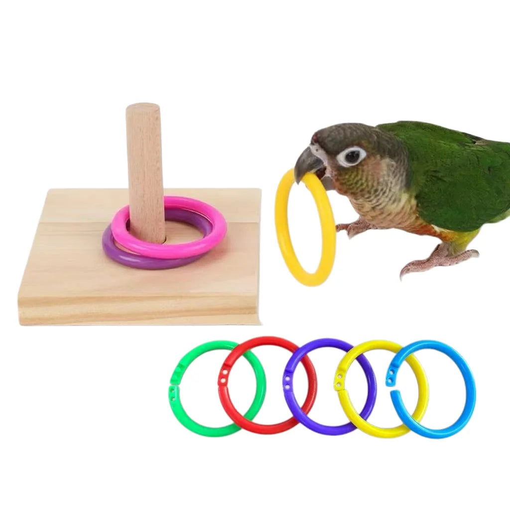 Wooden Bird Toy Parrot Platform Plastic Ring Intelligence Development