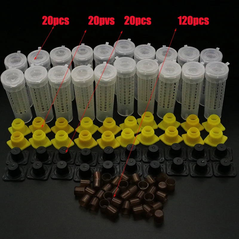 Beekeeping Cages King Queen Rearing Cupkit System Bee Catcher Box