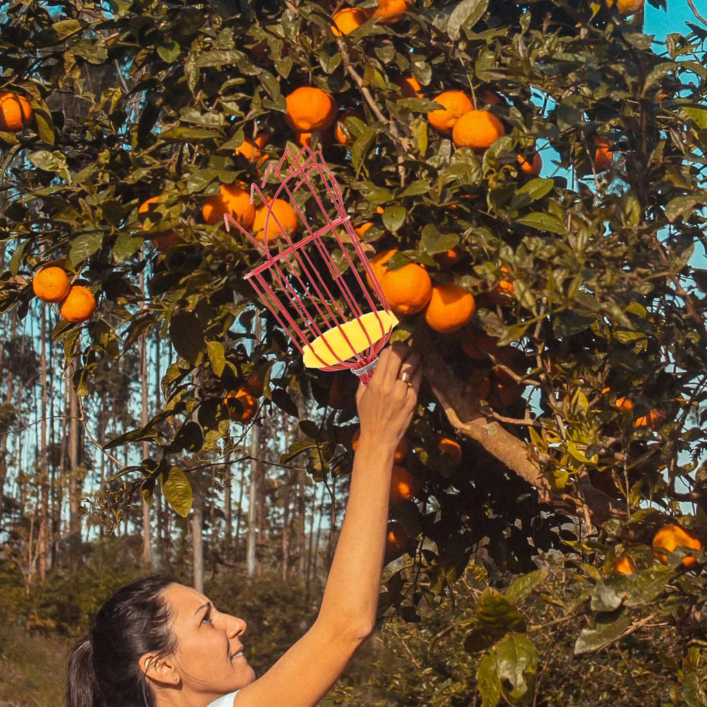 1Pcs Fruit Harvester Device Sturdy Light Weight Non-Slip Grip Picks Multiple Fruits Safely Suitable for Arbutus Pear Peach Zpaxo