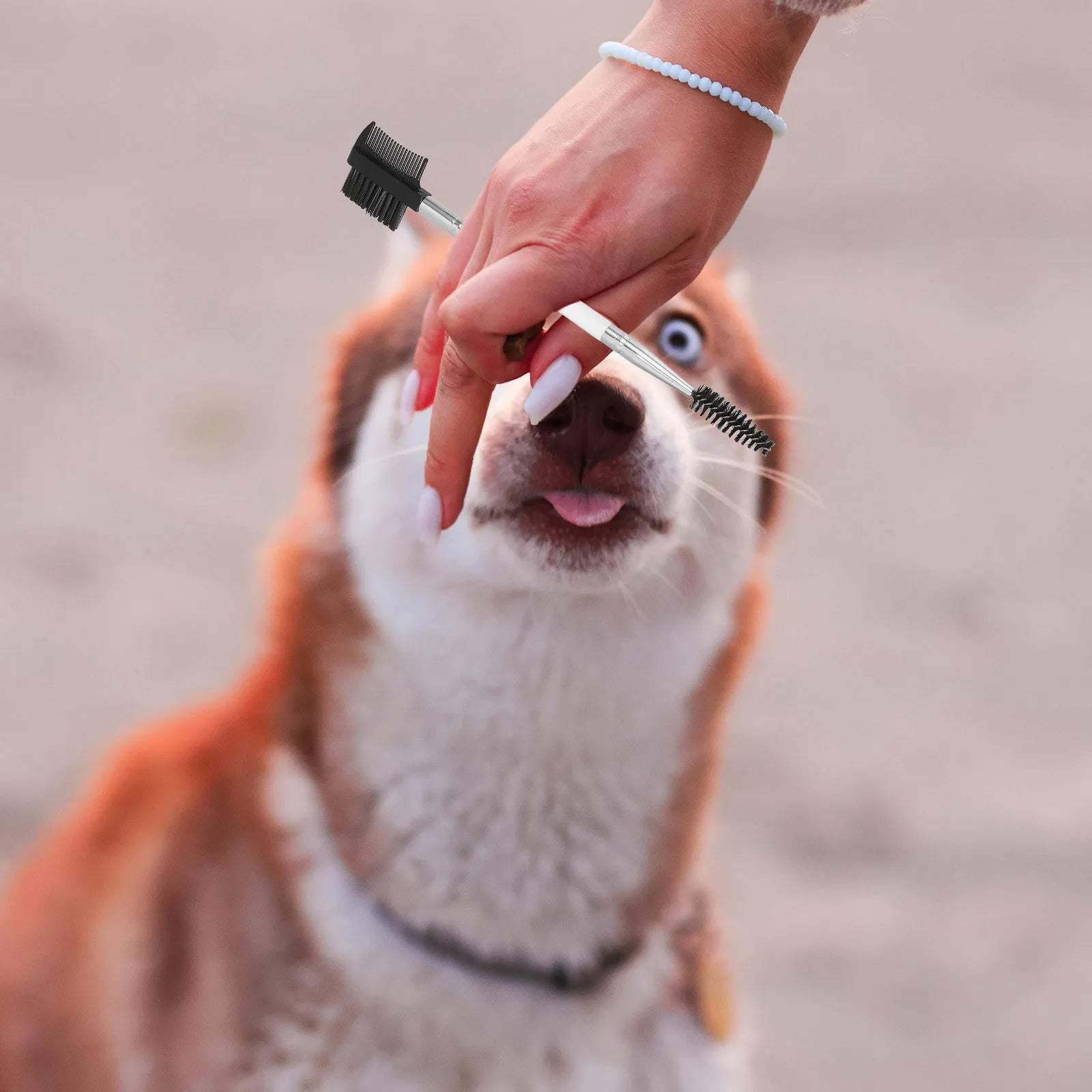 Dog Eye Cleaning Brush Fine Tooth Gentle Tear Remover Dogs Cats