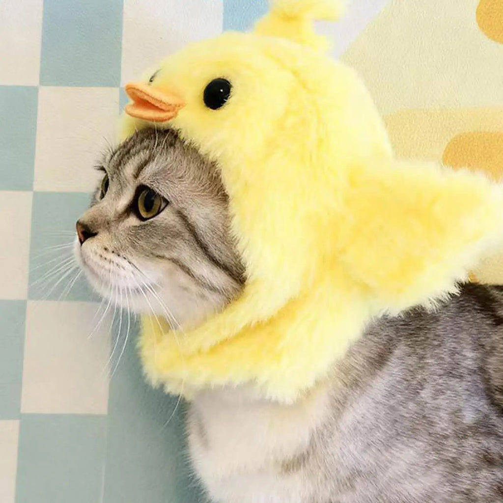 Funny Animal Hats Cats Dogs Small Pets Kitten Puppy Costume Headwear