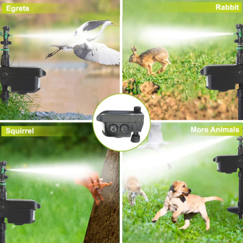 Motion Activated Sprinkler Scaring Away Wild Animals Animal Sensor
