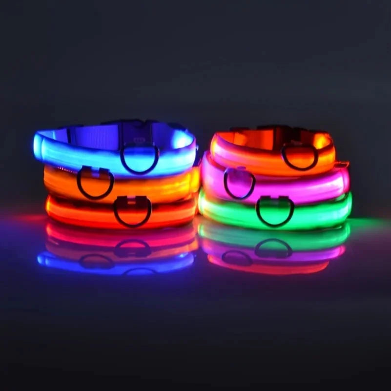 Nylon LED Night Safety Flashing Glow In The Dark Dog Leash Dogs Luminous Fluorescent Pet Dog Collar Zpaxo