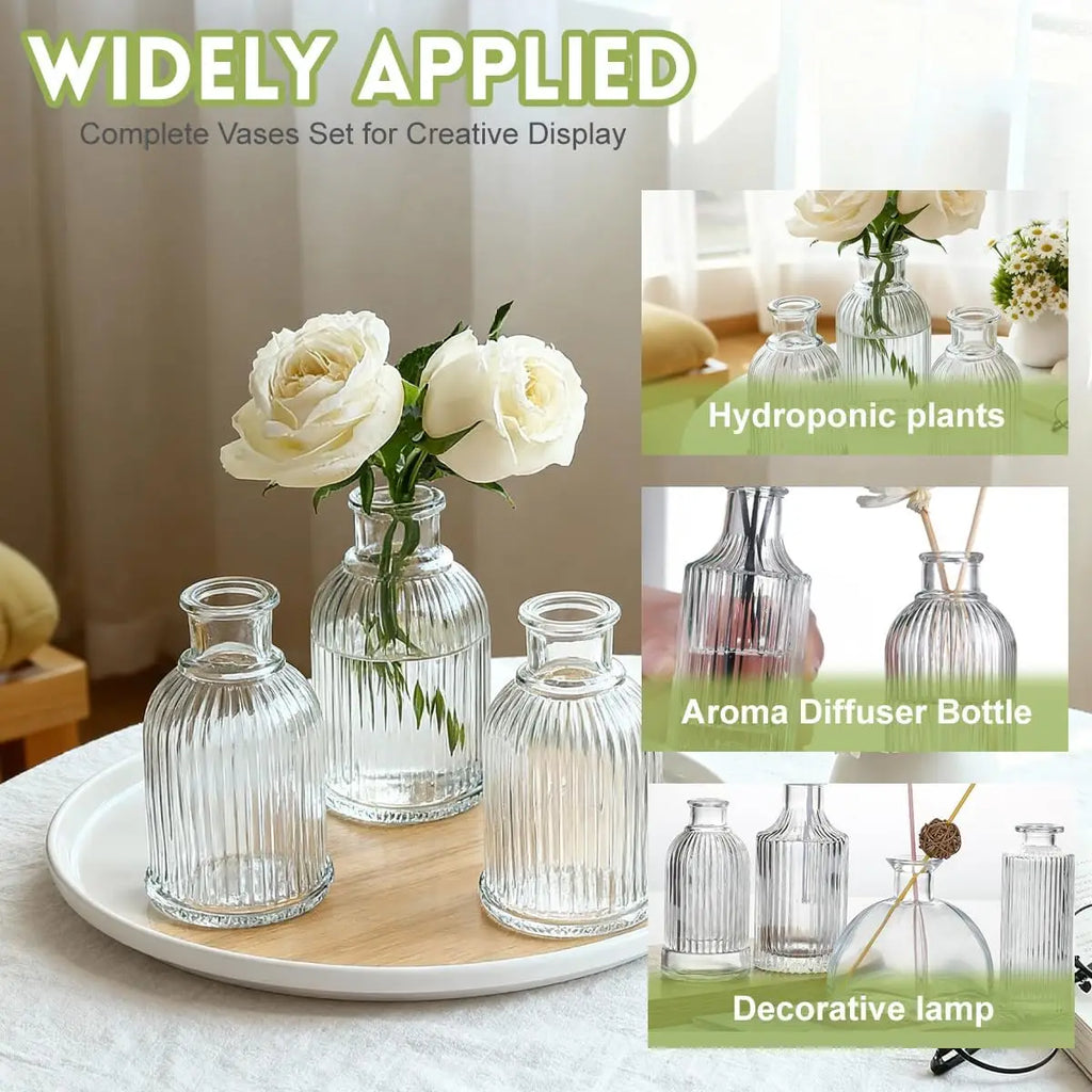 Clear Glass Mini Bottles – Reed Diffuser & Bud Vase Set 2/4/6 PCS