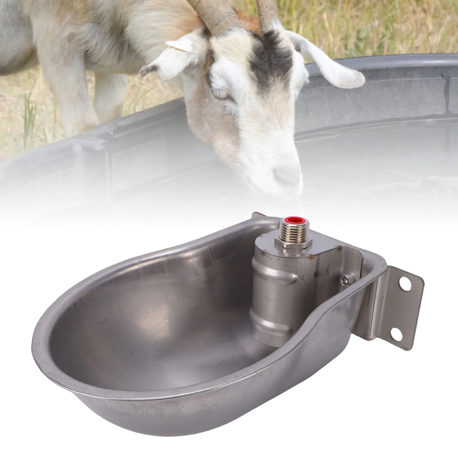 Automatic Sheep Water Bowl Sheep Water Feeder Stainless Steel Livestock Waterer Water Dispenser for Sheep Goat Calf Zpaxo