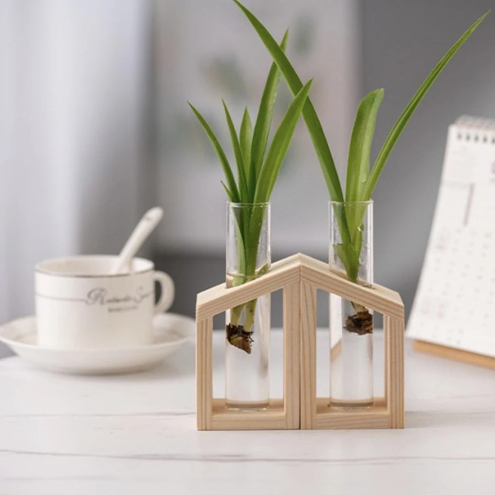 Test Tube Glass Vase Plant Propagation Station Hydroponic Vases for Plants with Wooden Stand Terrarium Office Home Desktop Decor Zpaxo