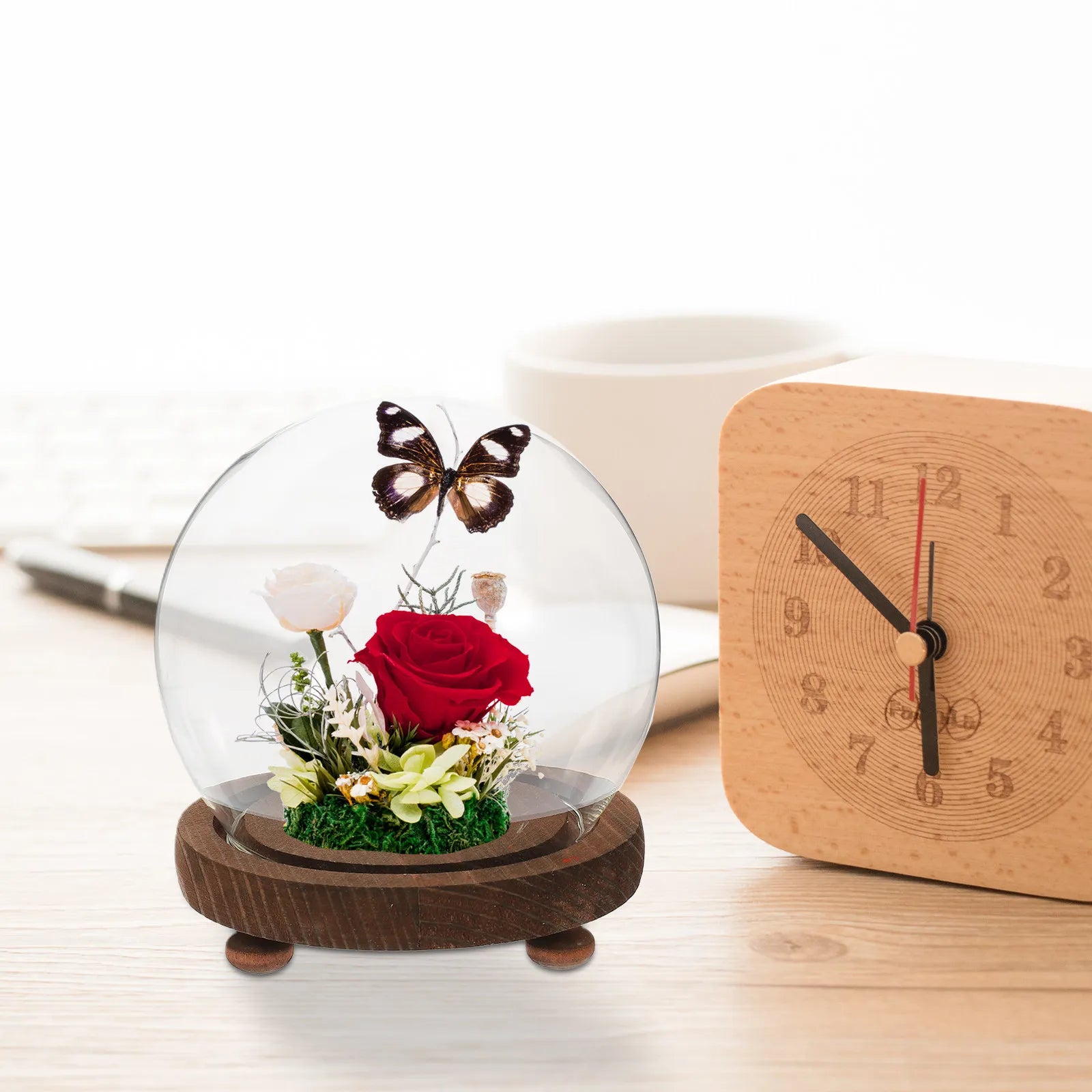Miniature Round Glass Dome Wood Base Display Case Clear Cover Eternal
