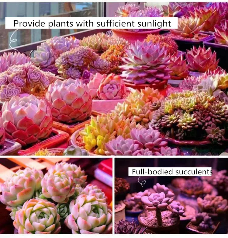 Full Spectrum LED Grow Light – Dimmable Indoor Plant Lamp