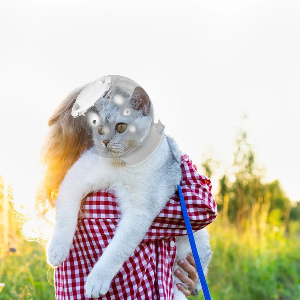 Kitten Clear Bubble Breathable Ventilated Protective Shield Surgery