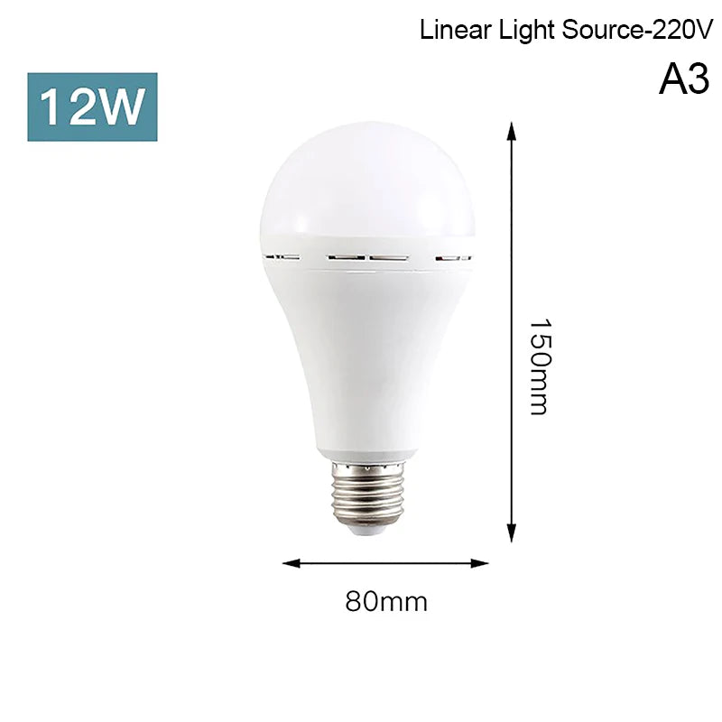 Portable 20W 30W Emergency Bulb Courtyard Outdoor Bulb Power Failure Emergency Flicker-Free LED Bulb Light Zpaxo A6