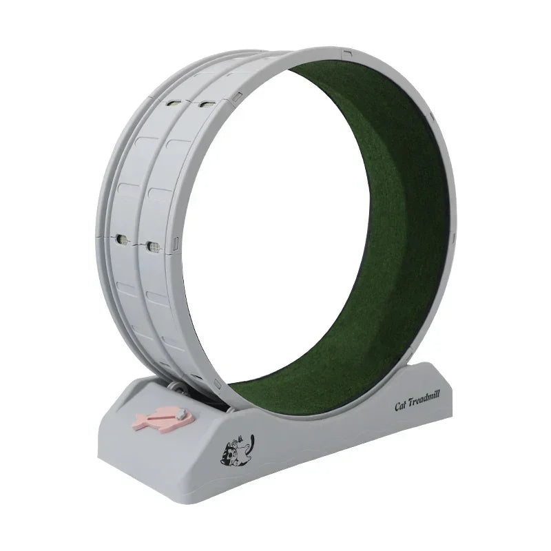 Silent Cat Exercise Wheel – Wear-Resistant Fitness Treadmill