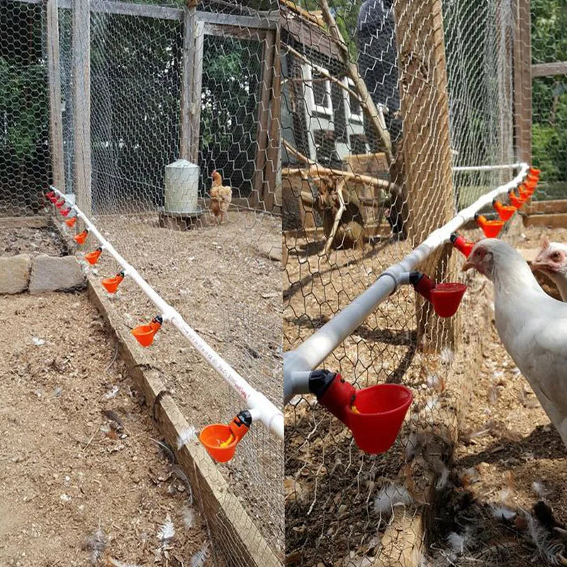 10 Quail Automatic Fowl Bowl Chicken Hen Poultry Water Drinking Cups Zpaxo