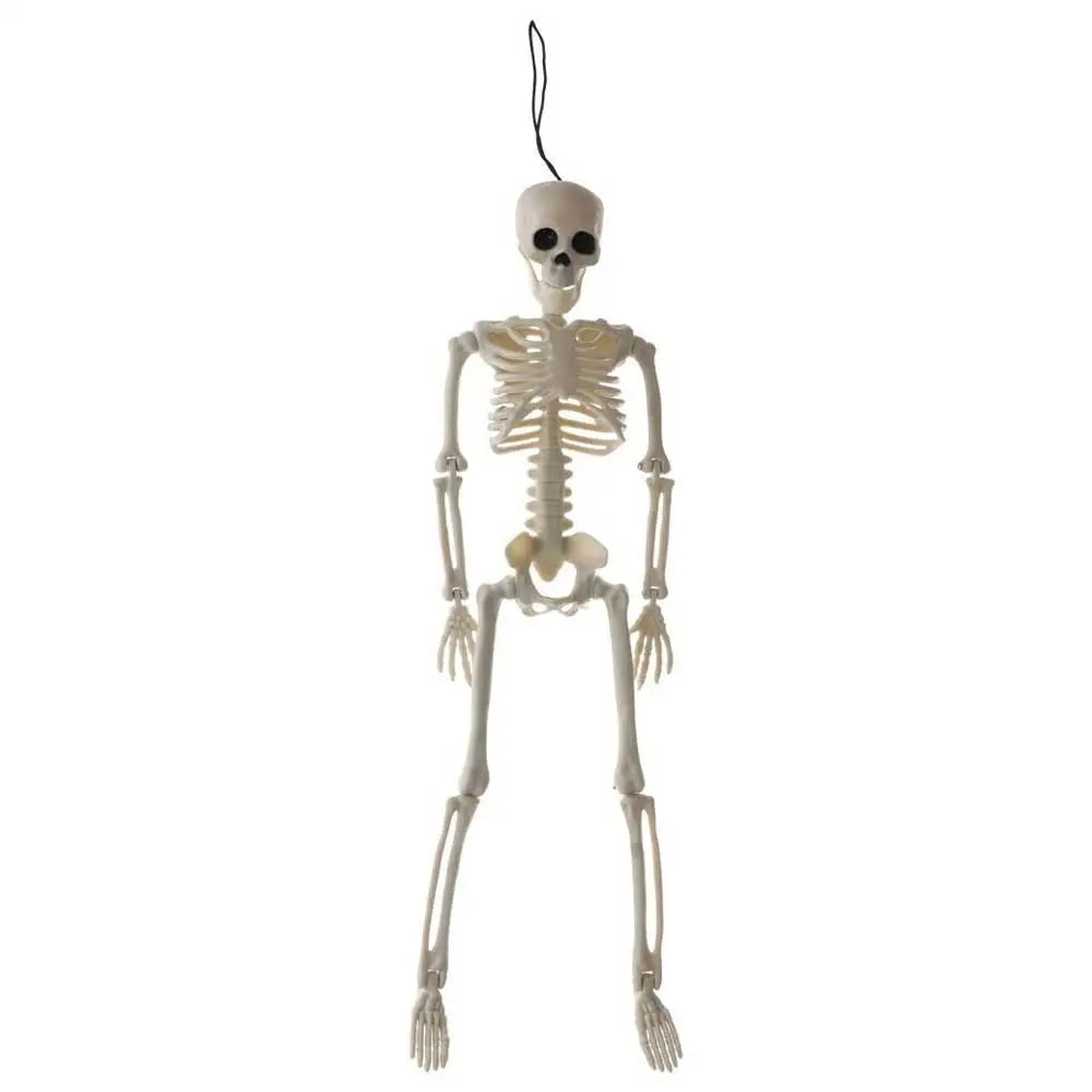 Decoration Skeleton Art Sketch Flexible Learn Aid Human Model Car Zpaxo