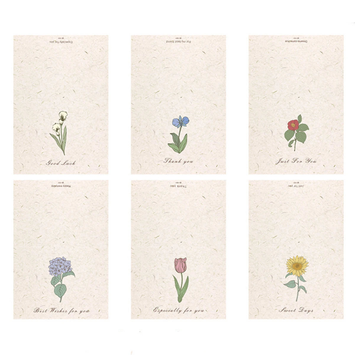 Tulip Thank You Cards with Envelopes – Floral Greeting Card Set