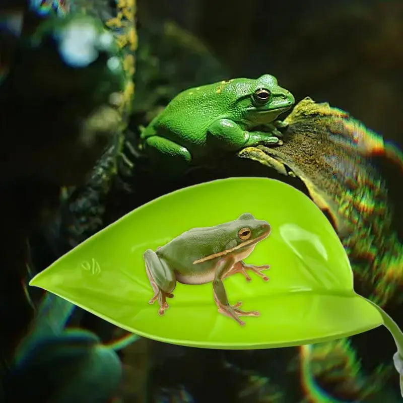 Geckos Frog Habitat Leaf Suction Cup Reptile Basking Area Resting
