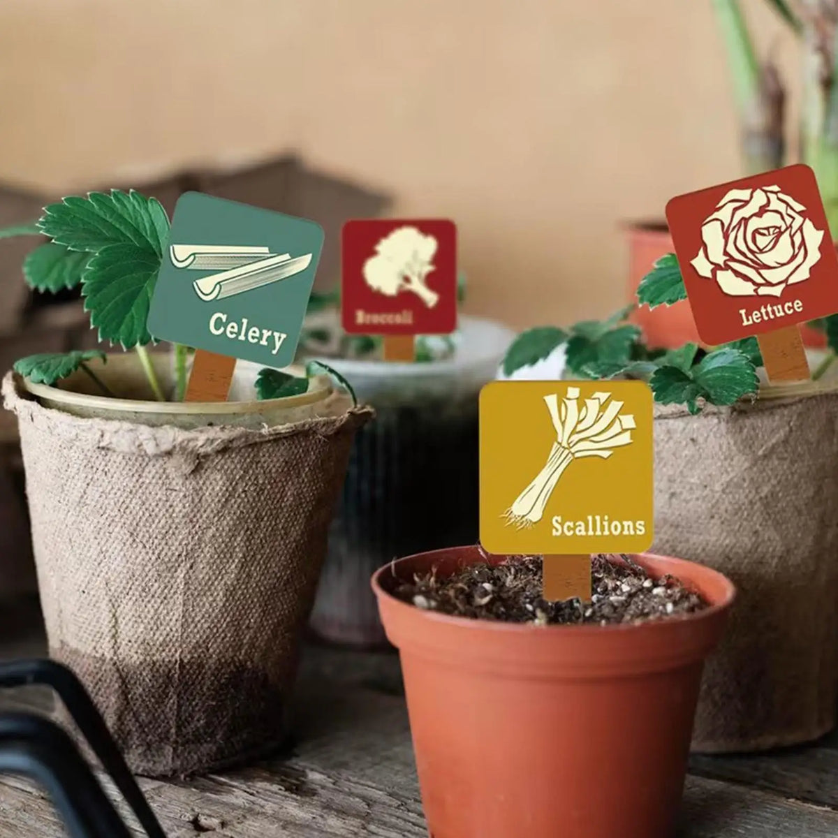 Plant Label Stakes 15 Vegetable T-shape Tags Markers Colorful Print Zpaxo