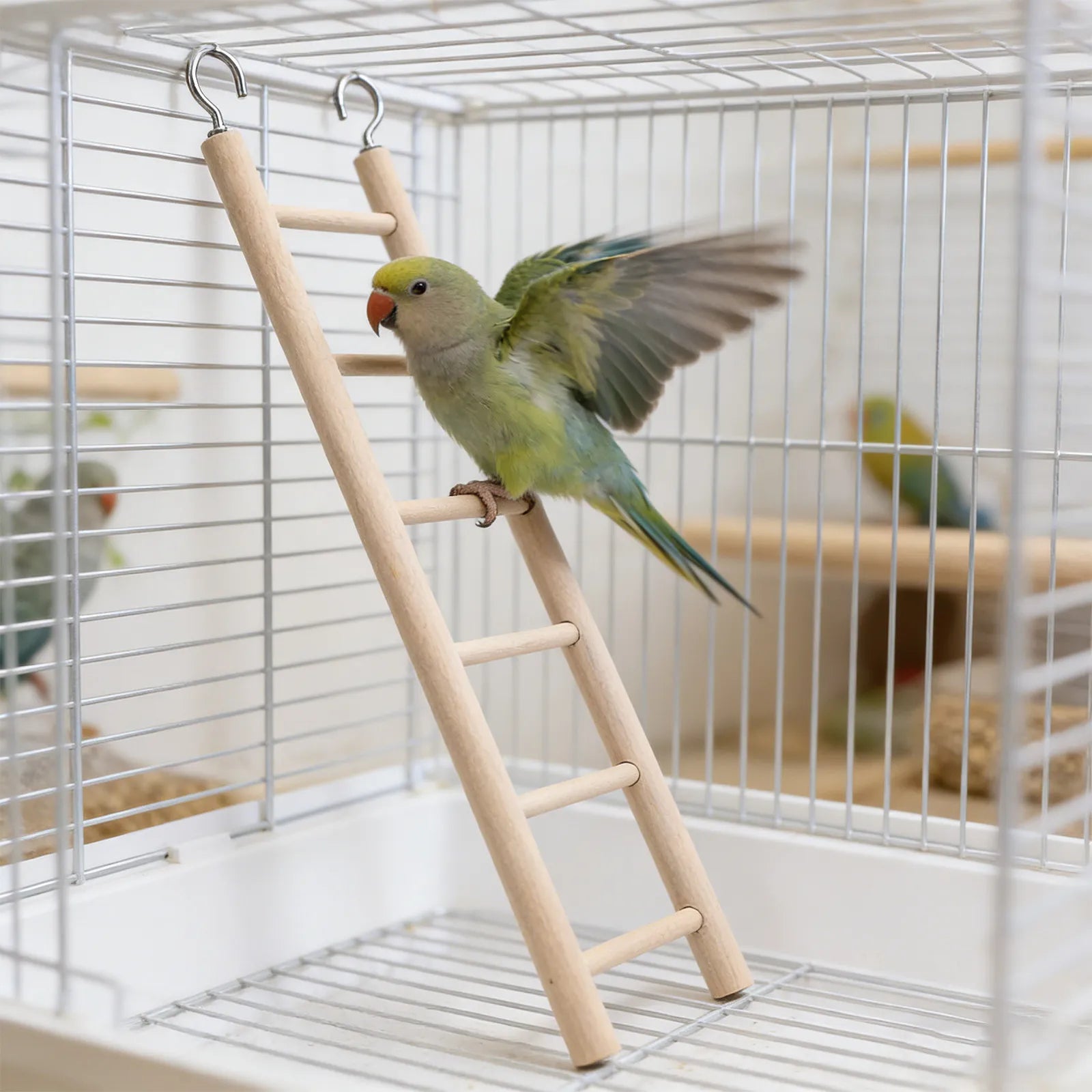 Cockatiel Parrot Ladder Wooden Swing Hanging Suspension Bridge