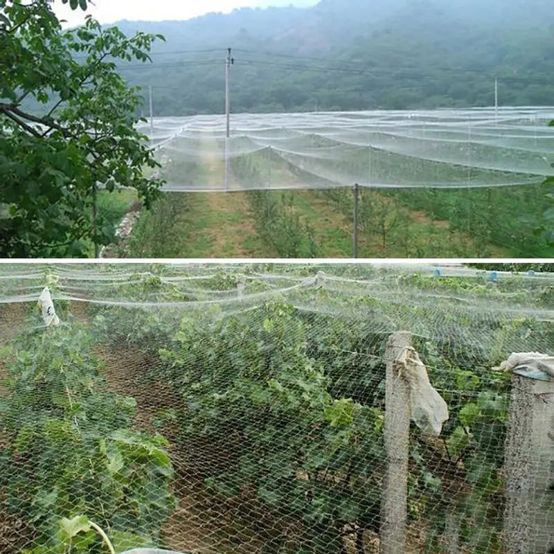 Poultry Aviary Bird-Proof Crop Network Birds Net Garden Plant Ponds Fruit Tree Mesh Protection Net Netting For Bird Garden Tool Zpaxo