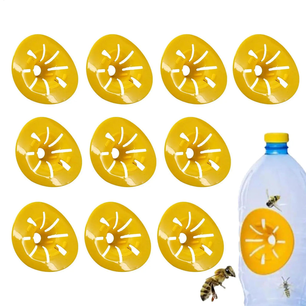Pests Control Funnel Bottles Insert Wasp Traps Reusable Plastic Fruit