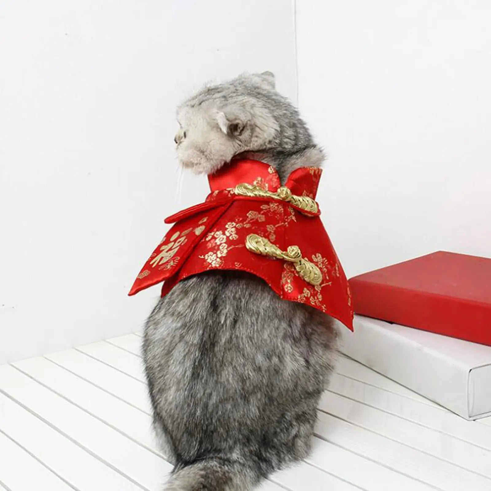 Chinese Cat Year Clothes Cloak Fu Necktie Dress Tang Suit Red Zpaxo red XS