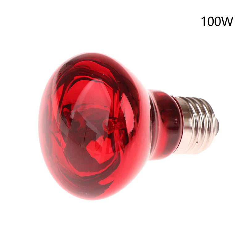 CME27 UVA Poultry Bulb Infrared Night Light Day Heating Plants Zpaxo 100W
