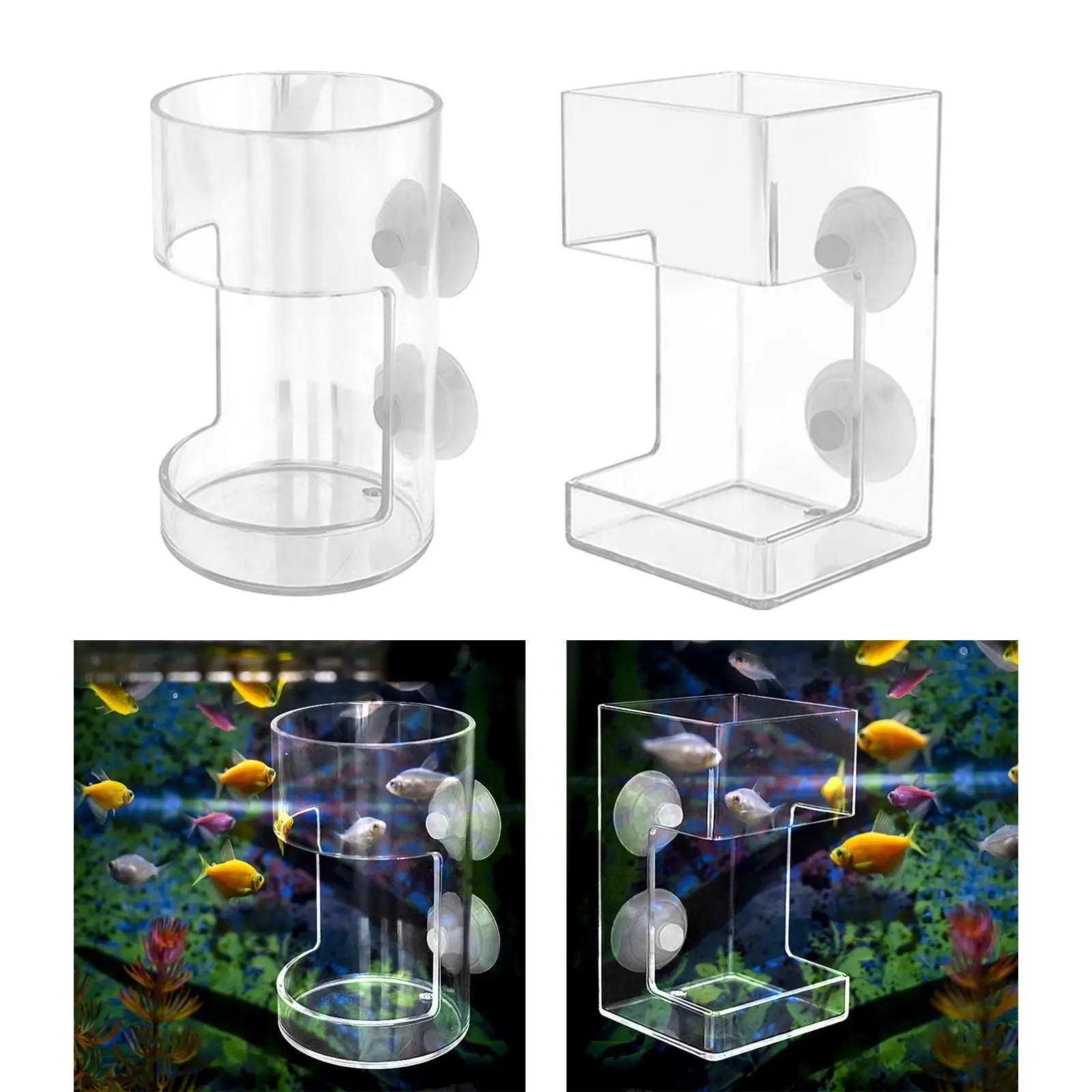 Acrylic Aquarium Fish Feeder – Clear Feeding Ring for Fish & Shrimp Aquarium Fish Feeder Zpaxo