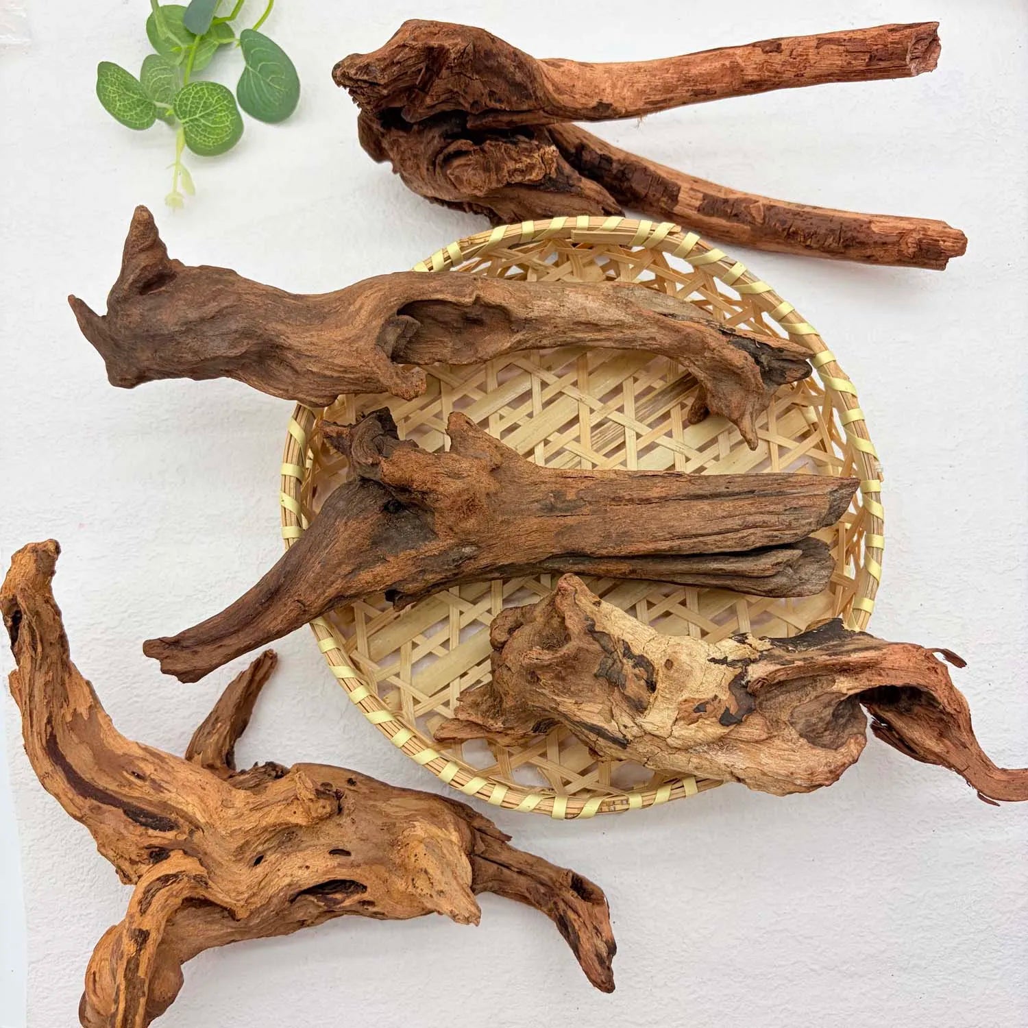 Driftwood for Aquarium,1PC 7-9INCH Large Natural Drift Wood Fish Tank Assorted Branch Decorations for Reptile Hide Zpaxo